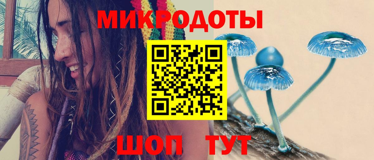 купить   Вход с VPN  Галлюциногенные грибы GOLDEN TEACHER  Мытищи  Псилоцибиновые грибы Psilocybine cubensis 